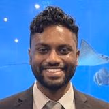 Vivek Tangudu