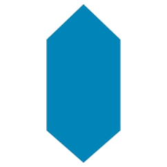 Joule Case
