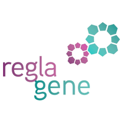 Reglagene